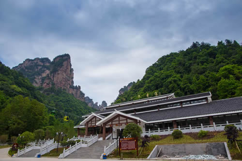 ��ҽ������TƱ